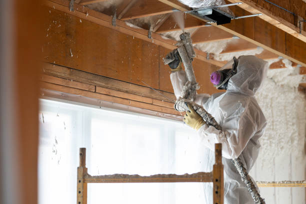 Consistency by Design: Year-Round Lead Generation for an Insulation Company